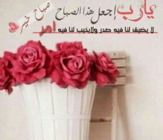 صباح الخير صباح الورد pinterest - صور ورد وزهور Rose Flower images
